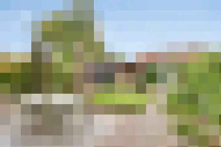 Lansinkweg 37 Hengelo thumbnail 6