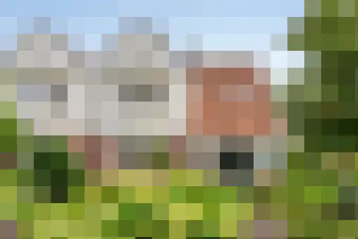 Lansinkweg 37 Hengelo thumbnail 8