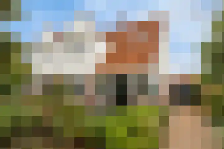 Lansinkweg 37 Hengelo thumbnail 9