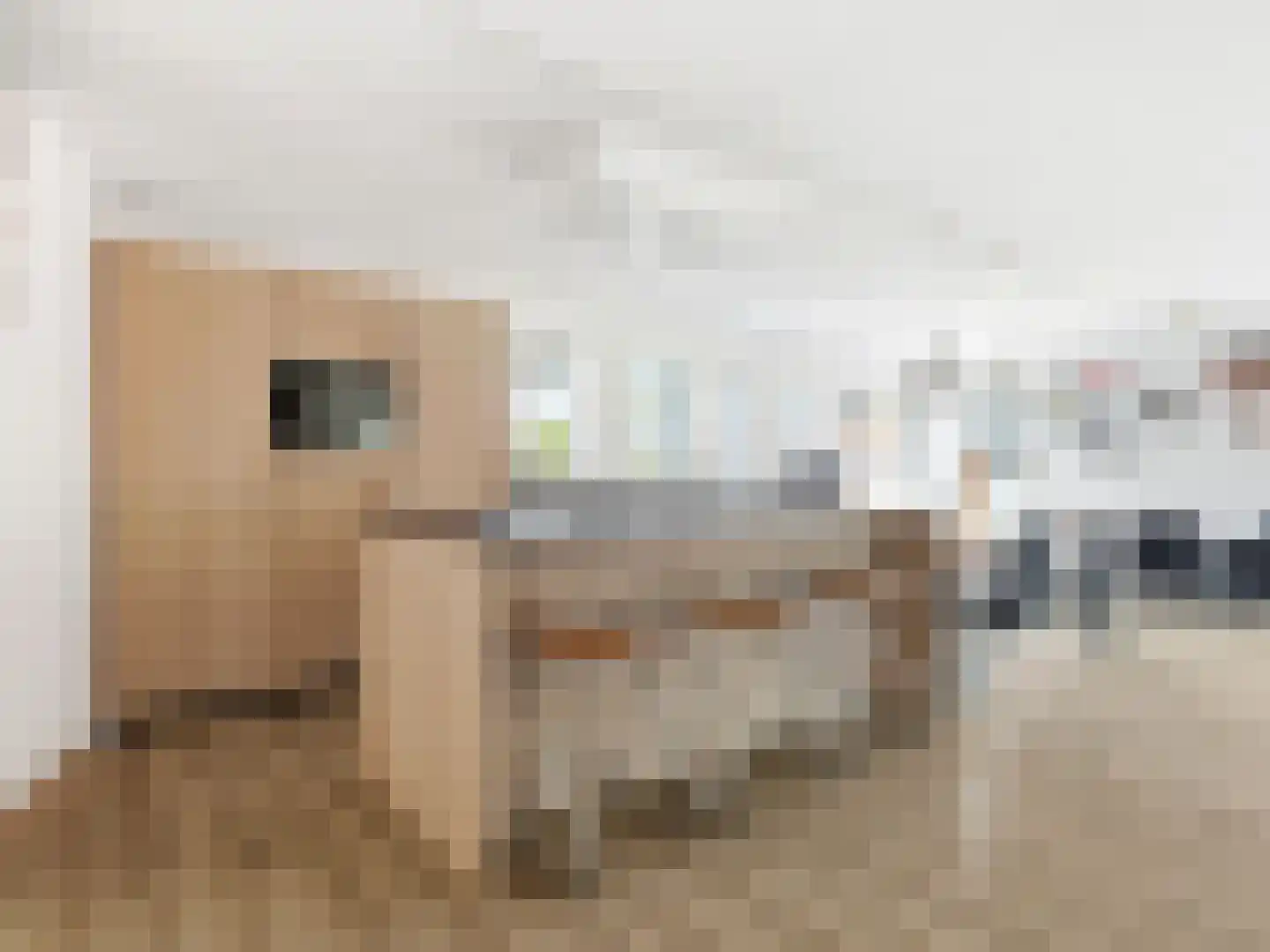 Lansinkweg 4 Zutphen thumbnail 12