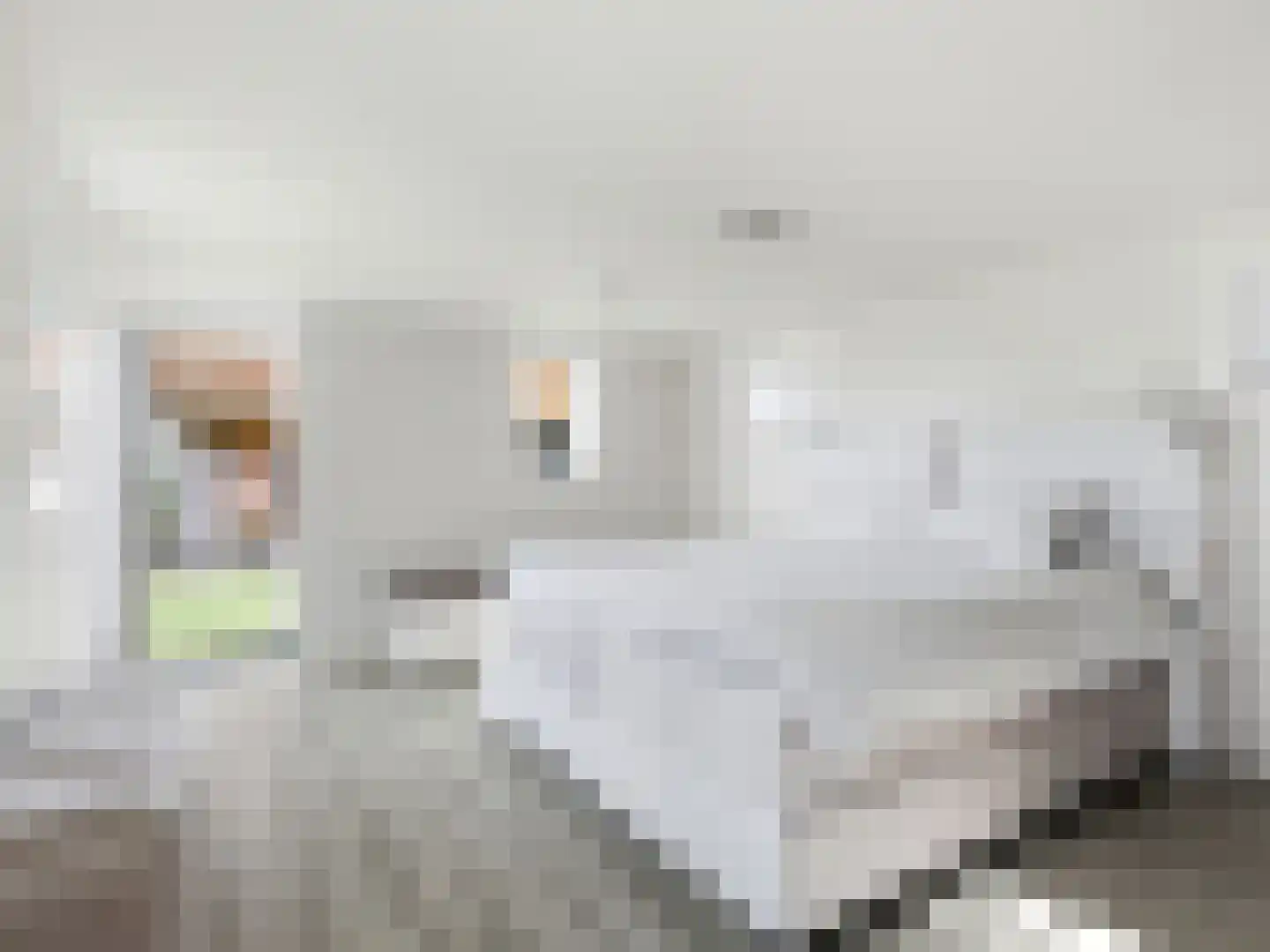 Lansinkweg 4 Zutphen thumbnail 17