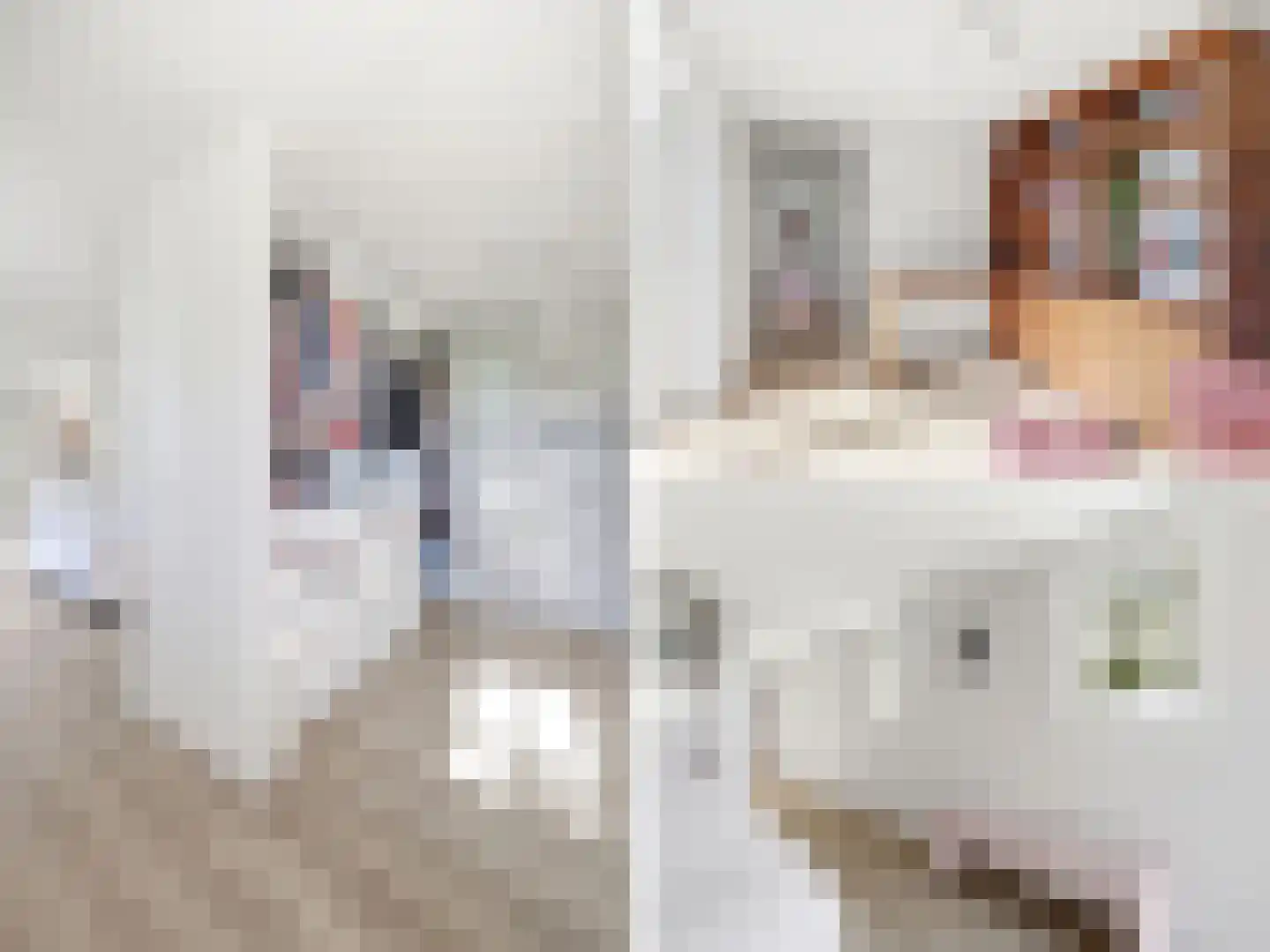 Lansinkweg 4 Zutphen thumbnail 18