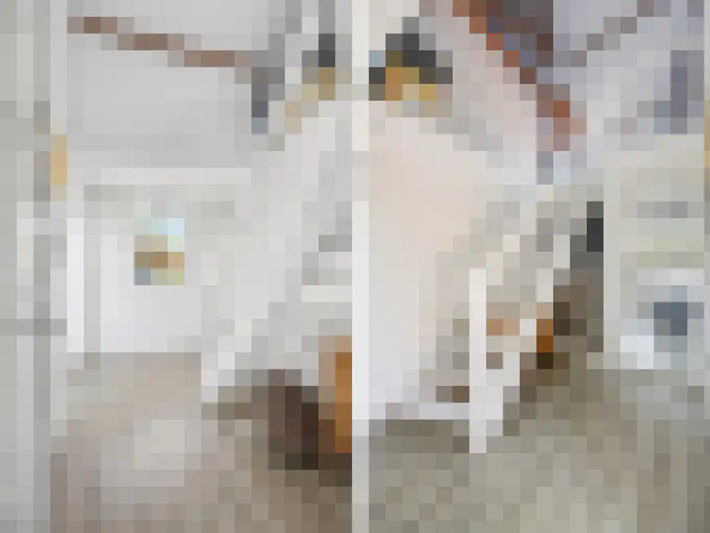 Lansinkweg 4 Zutphen thumbnail 21