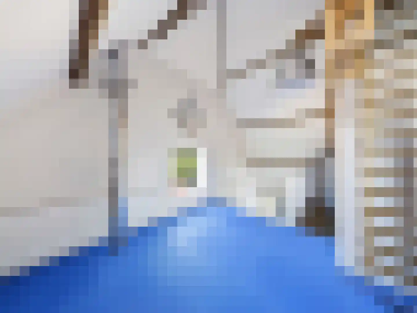 Lansinkweg 4 Zutphen thumbnail 23