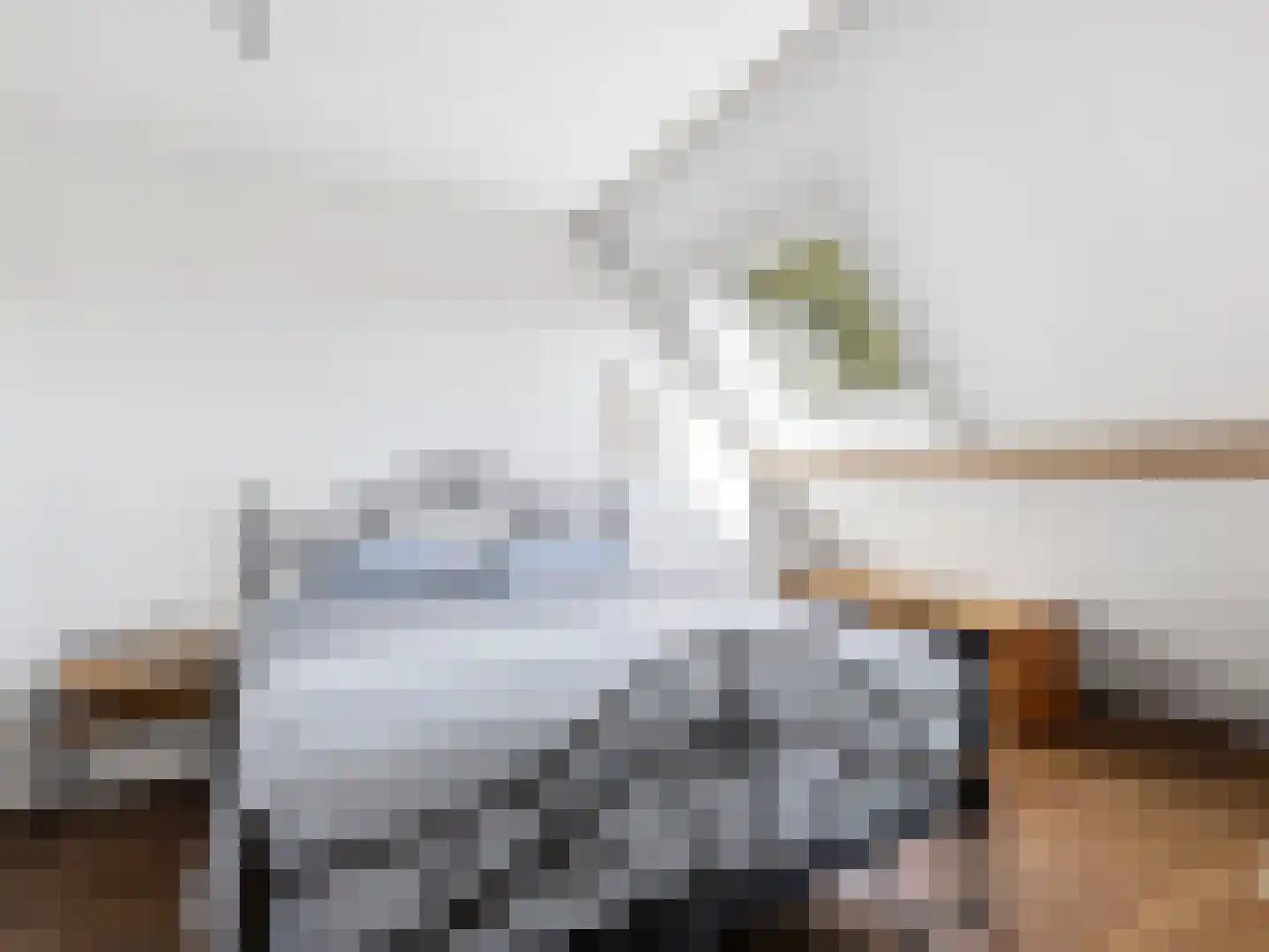 Lansinkweg 4 Zutphen thumbnail 25