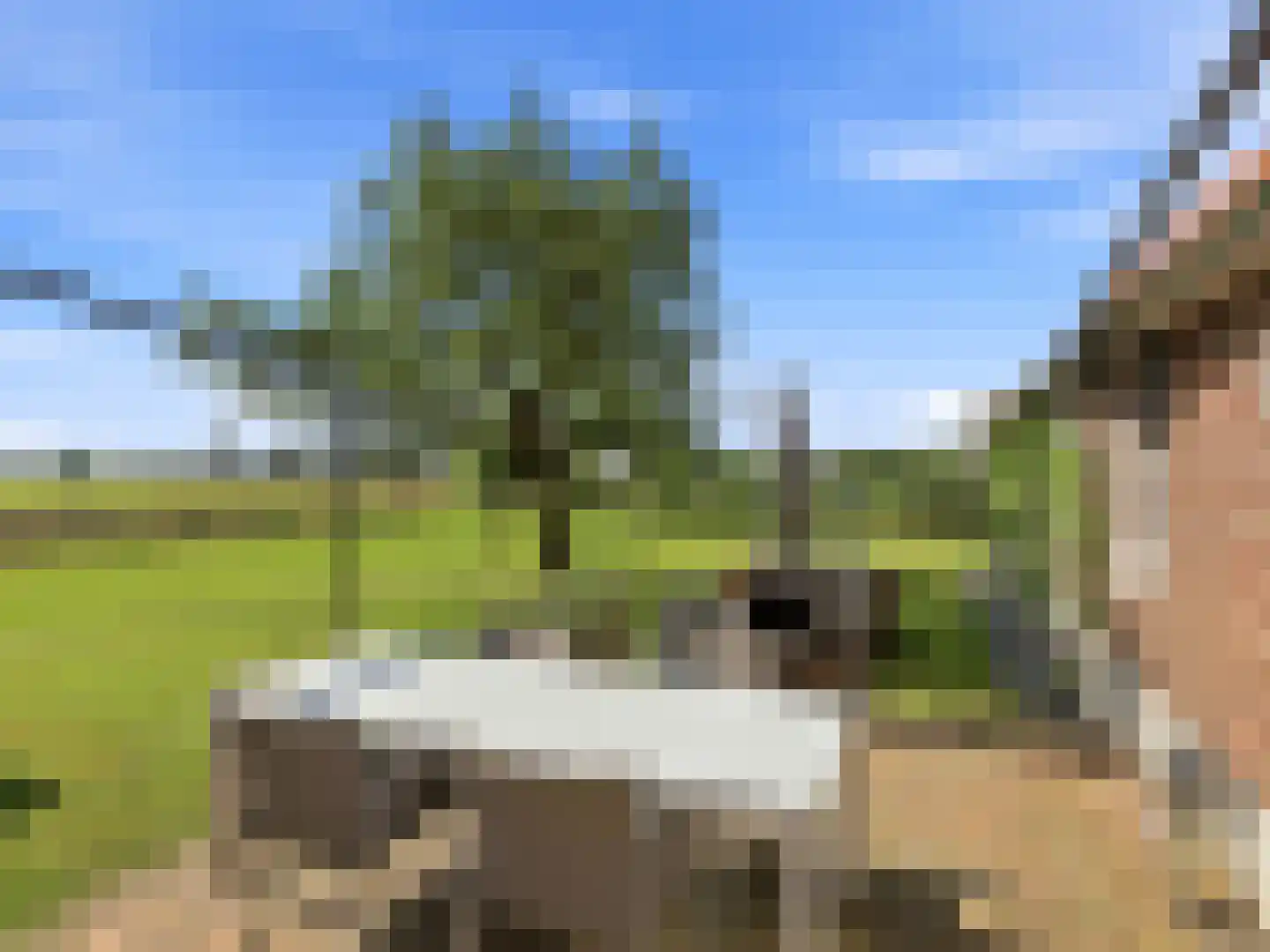Lansinkweg 4 Zutphen thumbnail 33
