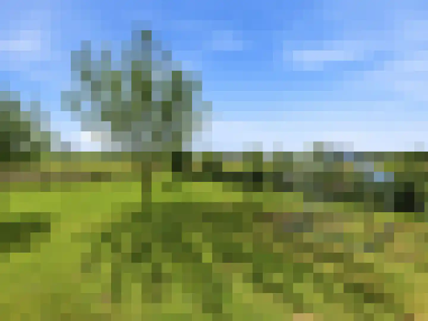 Lansinkweg 4 Zutphen thumbnail 35