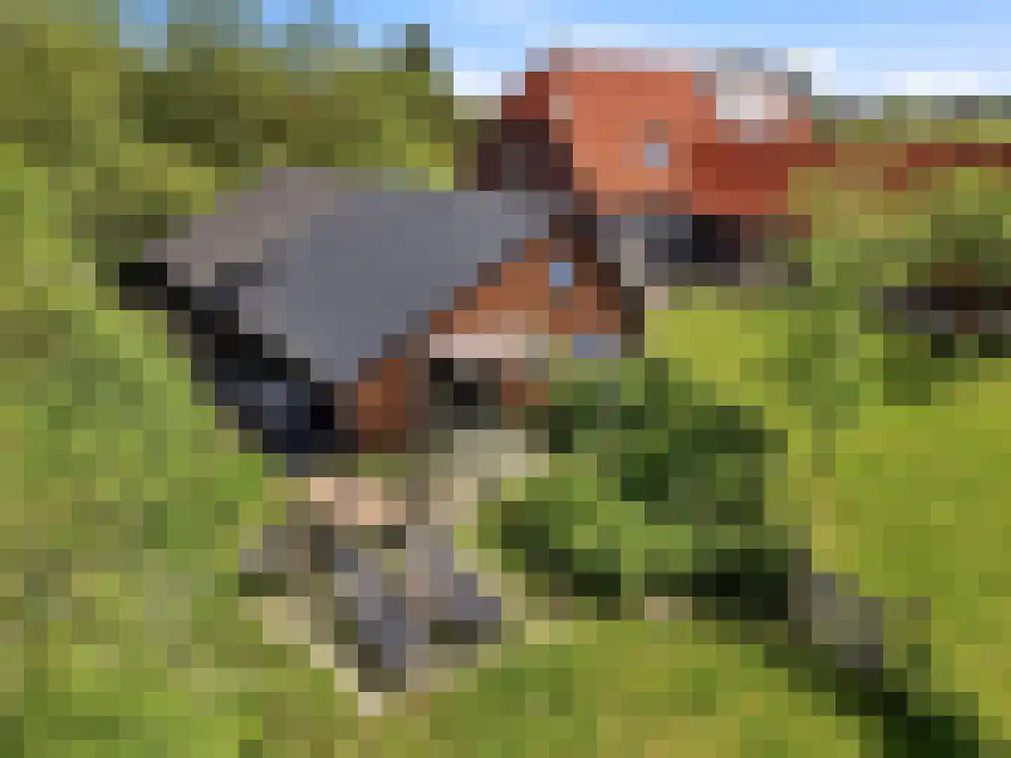 Lansinkweg 4 Zutphen thumbnail 44