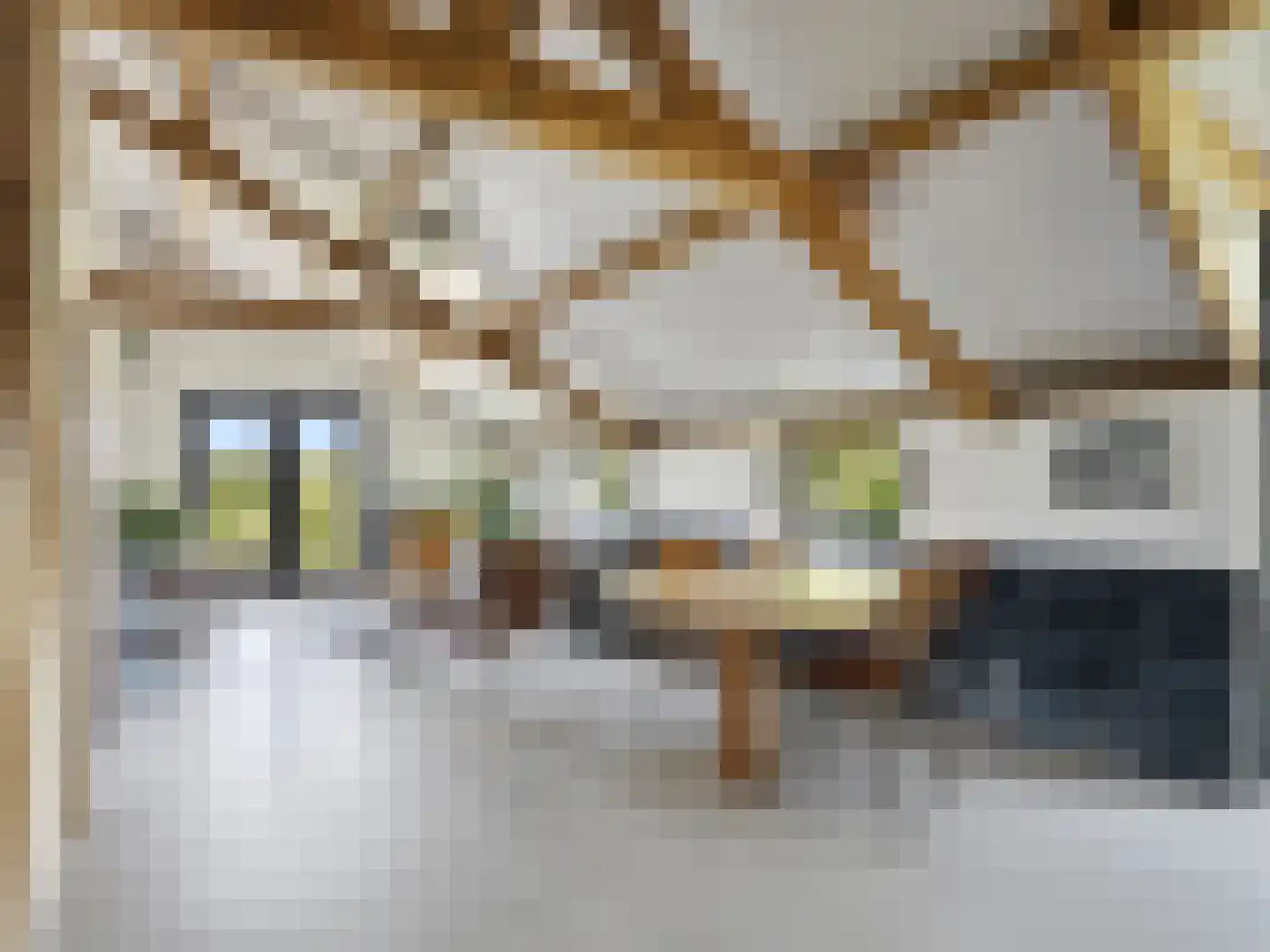 Lansinkweg 4 Zutphen thumbnail 45
