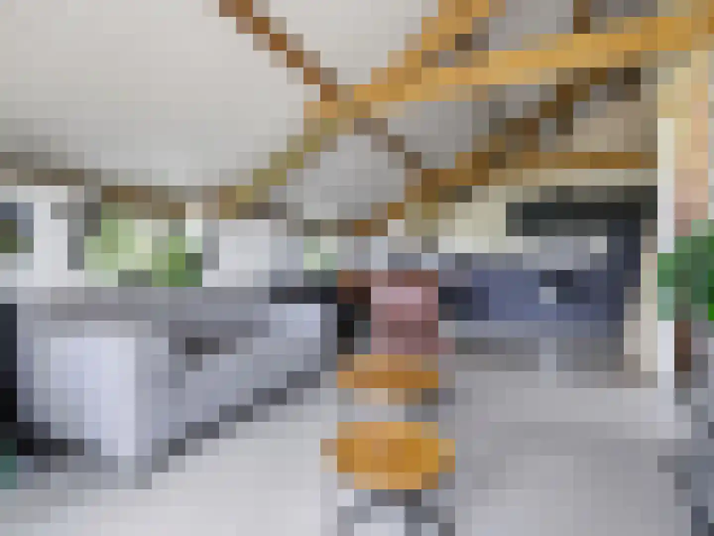 Lansinkweg 4 Zutphen thumbnail 48