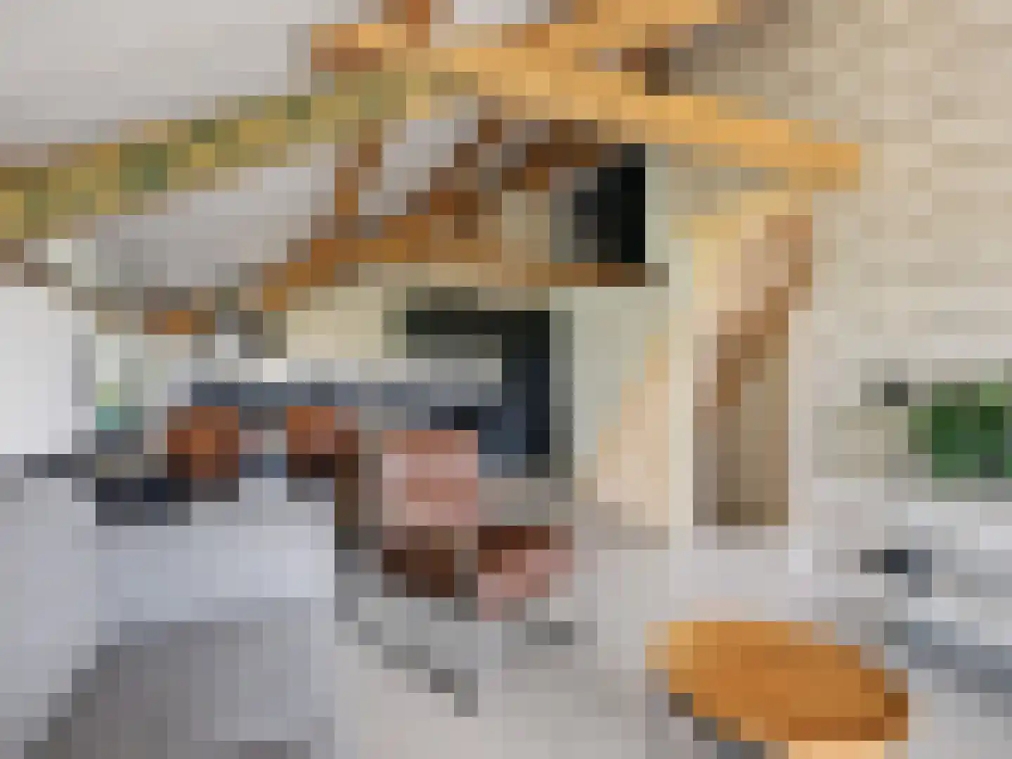 Lansinkweg 4 Zutphen thumbnail 49