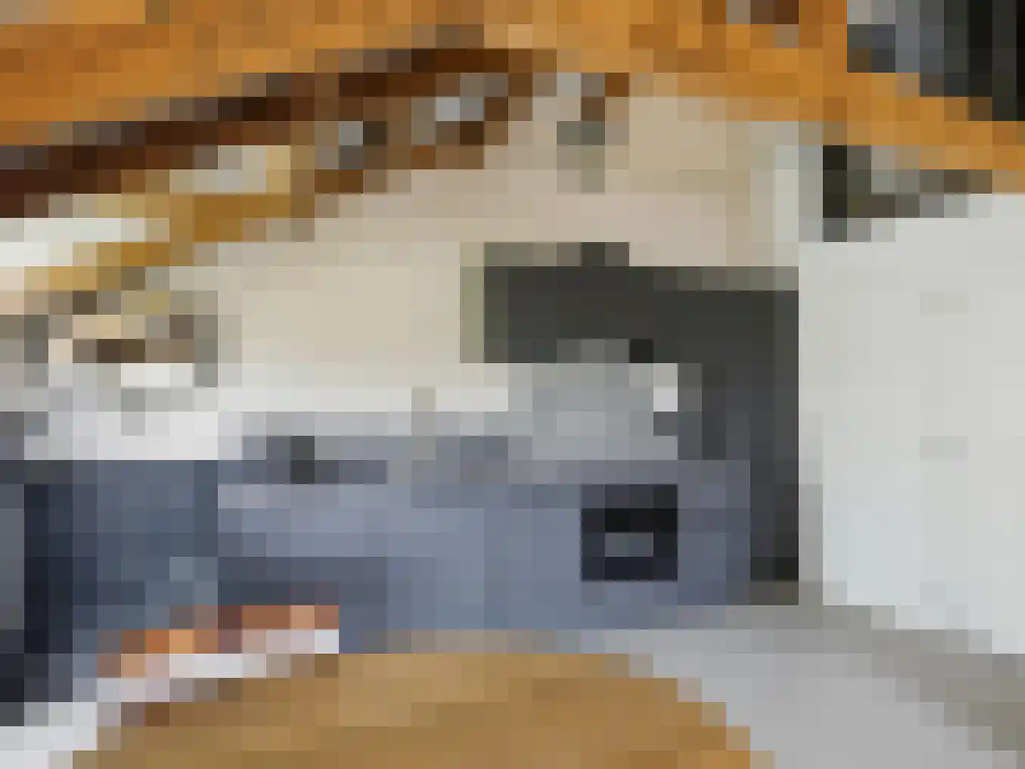 Lansinkweg 4 Zutphen thumbnail 50