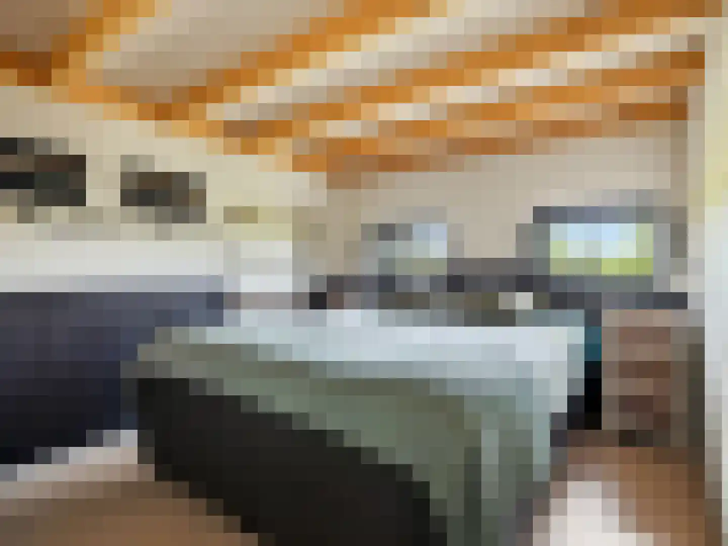 Lansinkweg 4 Zutphen thumbnail 52