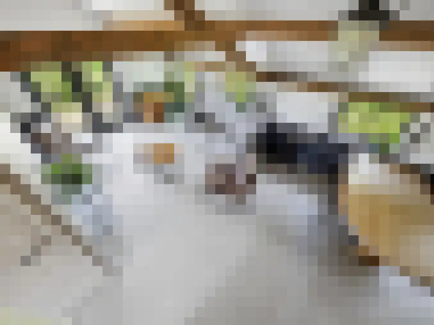 Lansinkweg 4 Zutphen thumbnail 56