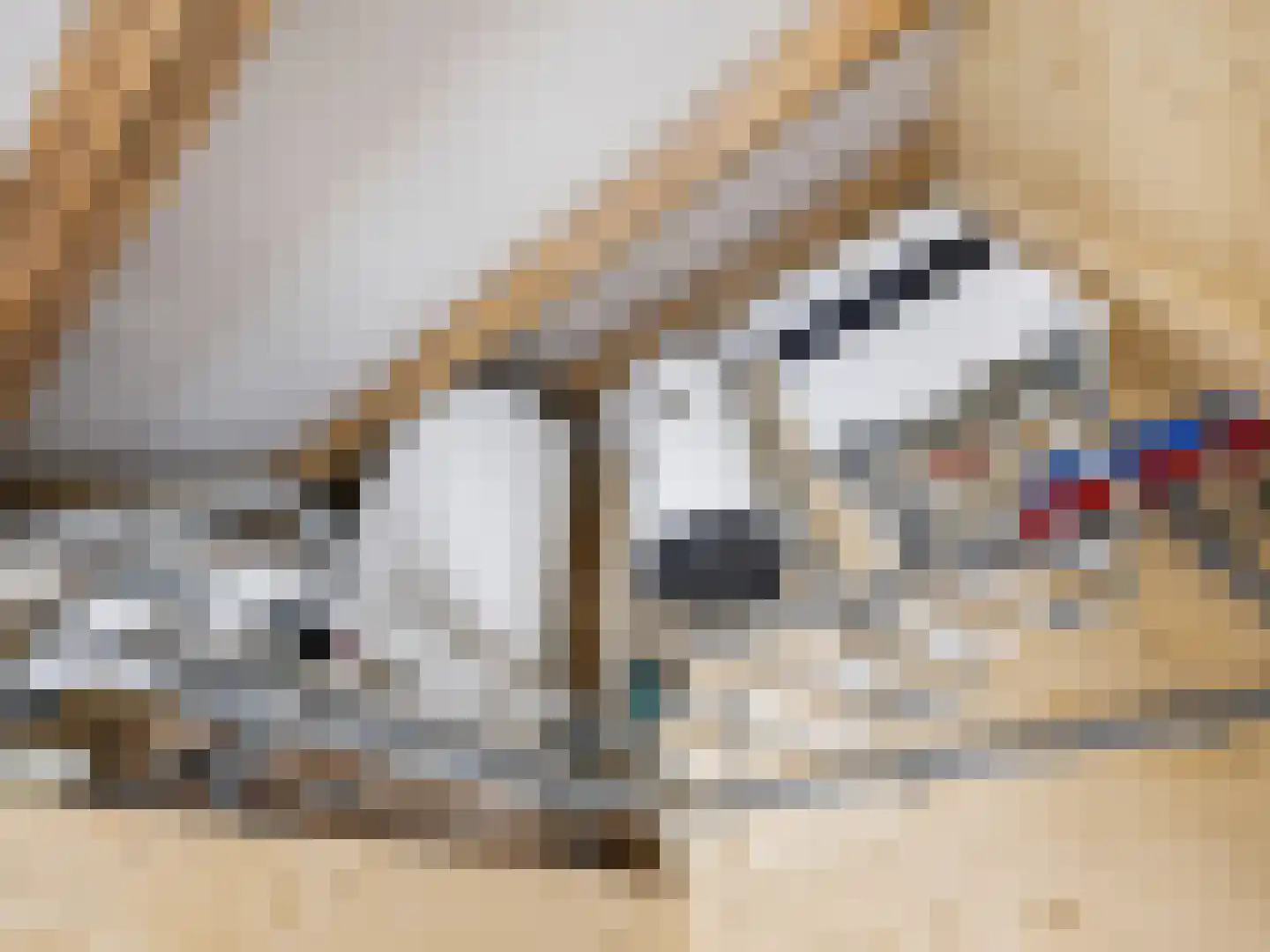 Lansinkweg 4 Zutphen thumbnail 57