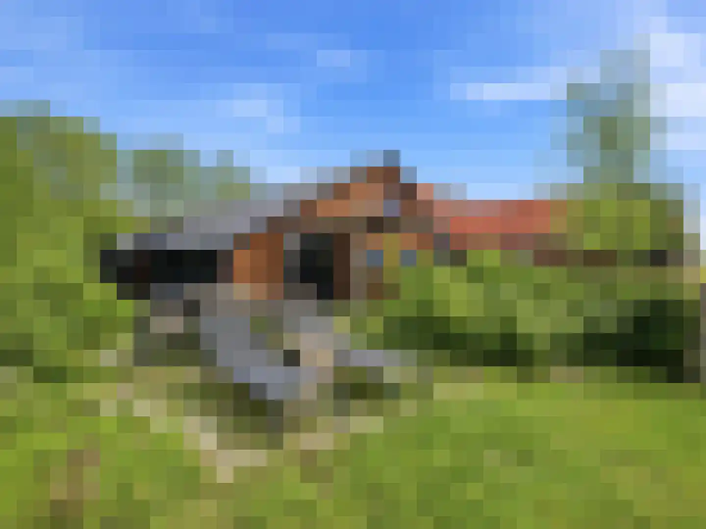 Lansinkweg 4 Zutphen thumbnail 59