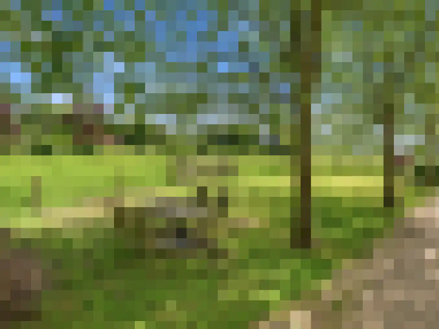 Lansinkweg 4 Zutphen thumbnail 71