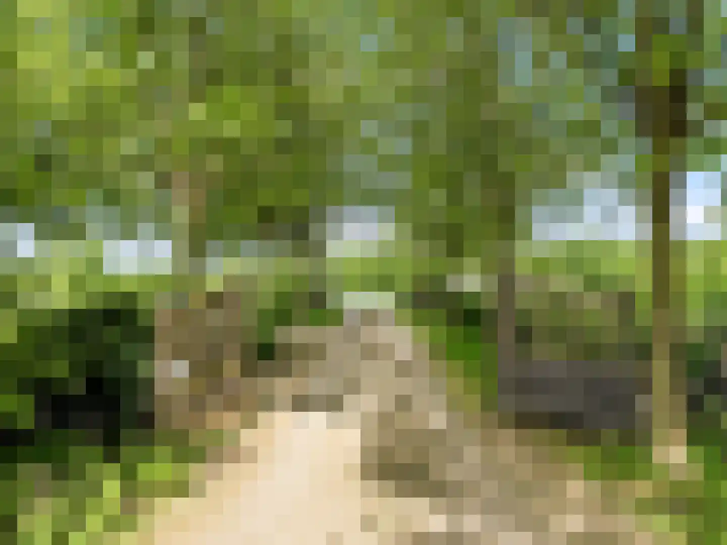 Lansinkweg 4 Zutphen thumbnail 77