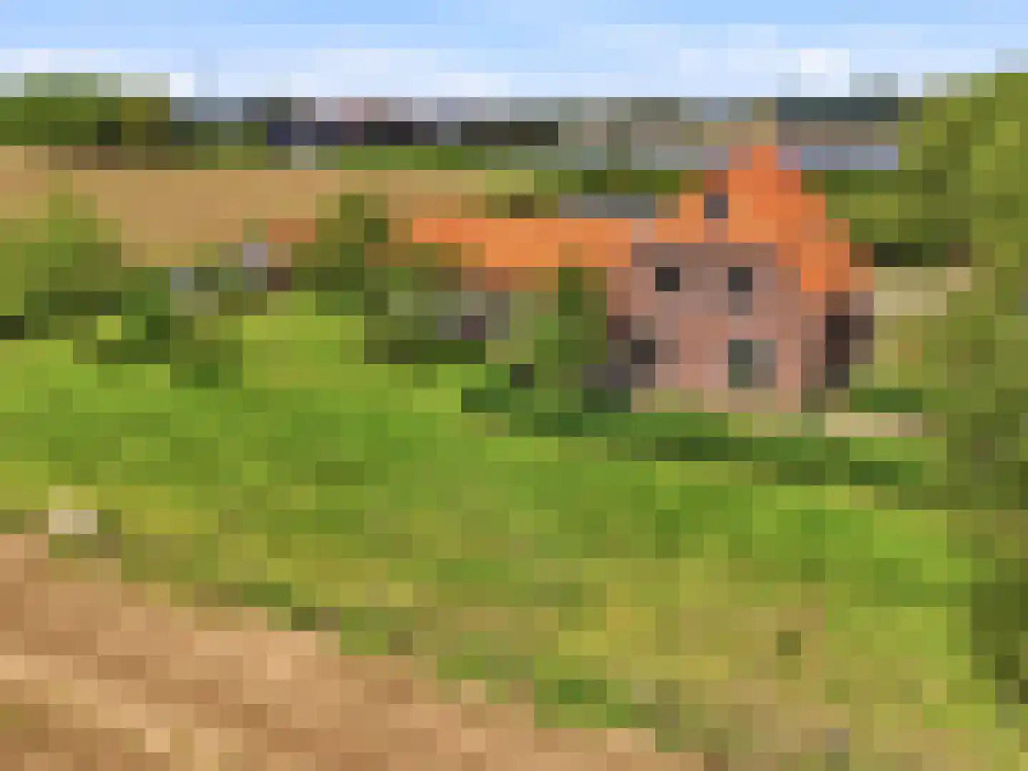 Lansinkweg 4 Zutphen thumbnail 80