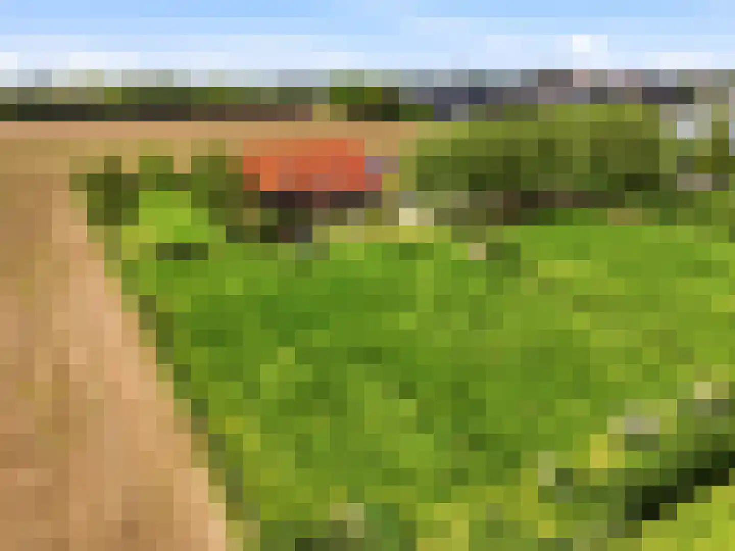 Lansinkweg 4 Zutphen thumbnail 81