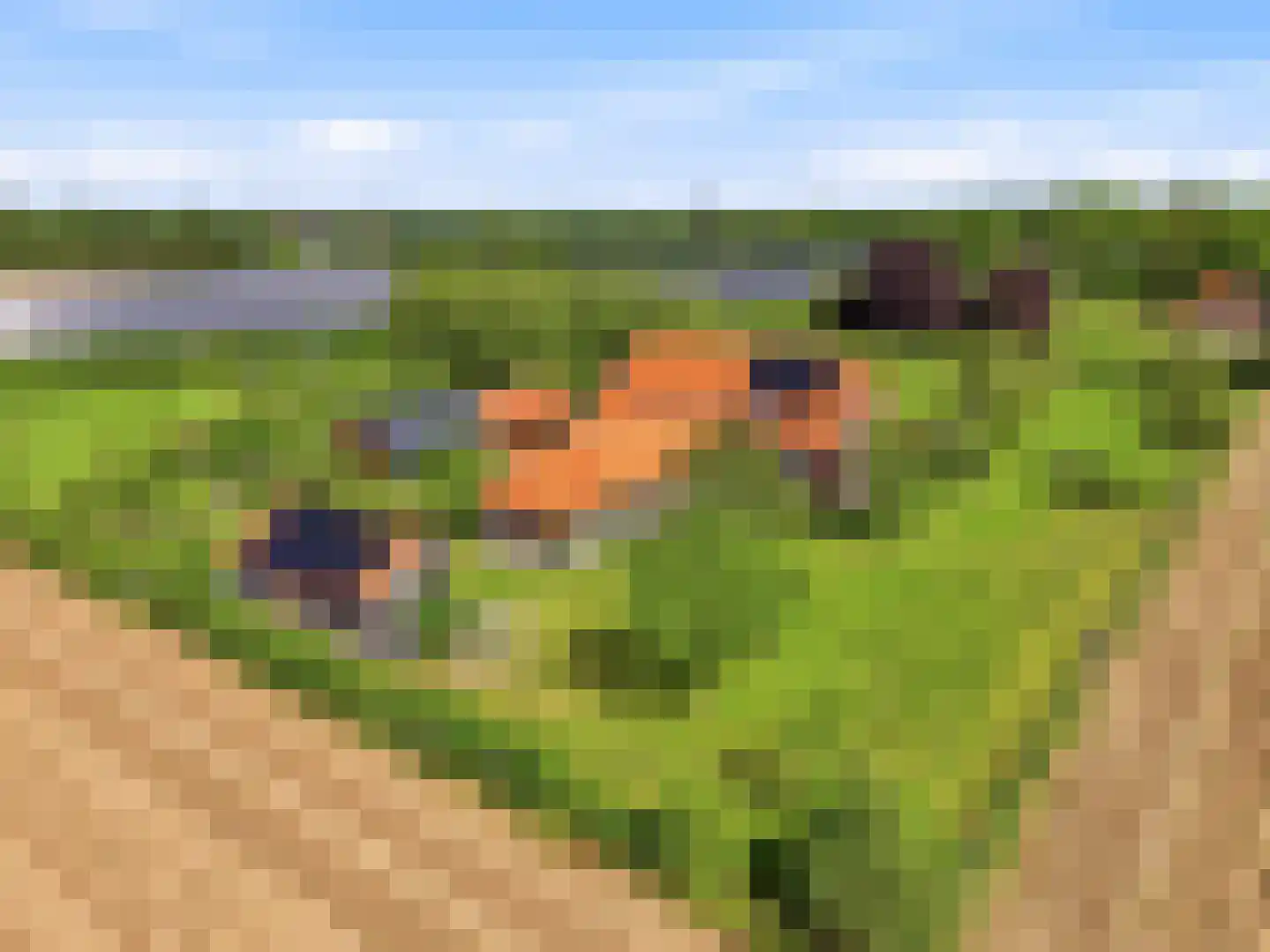 Lansinkweg 4 Zutphen thumbnail 82