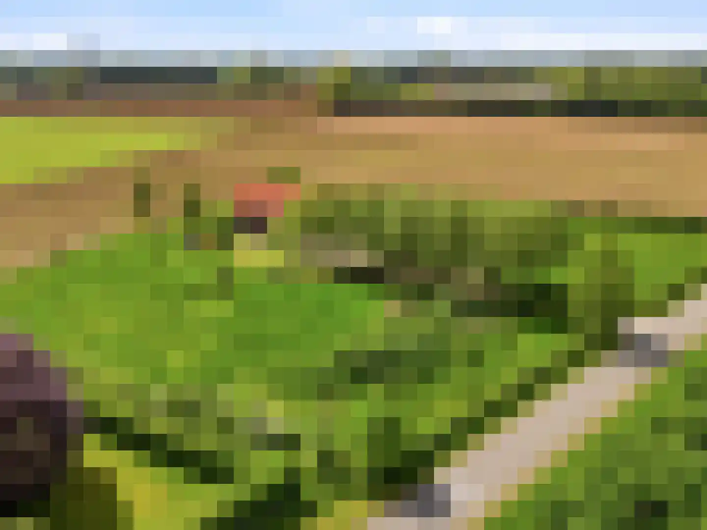 Lansinkweg 4 Zutphen thumbnail 83