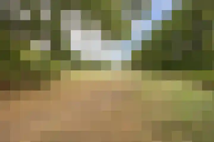 Lanspunt 16 Oosterhout thumbnail 43