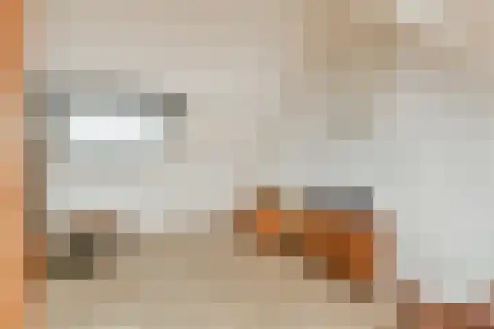 Lantaarnopsteker 41 Amstelveen thumbnail 25