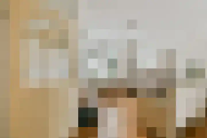 Lantaarnopsteker 41 Amstelveen thumbnail 5