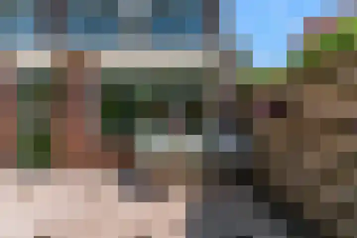 Lantaarnopsteker 45 Amstelveen thumbnail 32