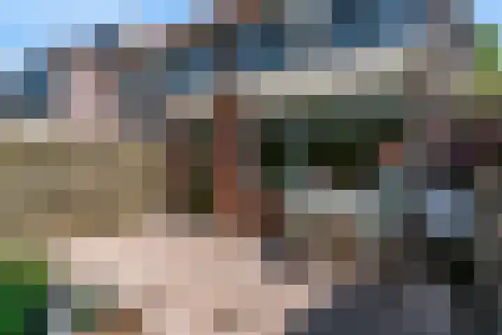 Lantaarnopsteker 45 Amstelveen thumbnail 33