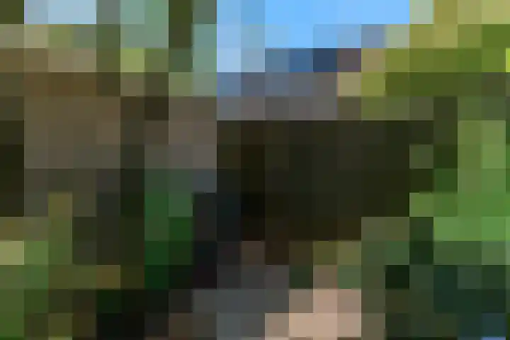 Lantaarnopsteker 45 Amstelveen thumbnail 34