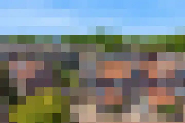 Lantaarnopsteker 45 Amstelveen thumbnail 37
