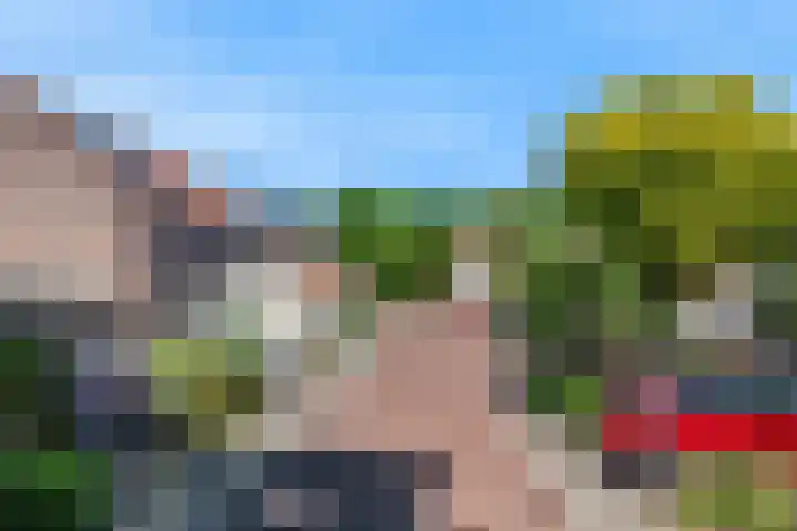 Lantaarnopsteker 45 Amstelveen thumbnail 38