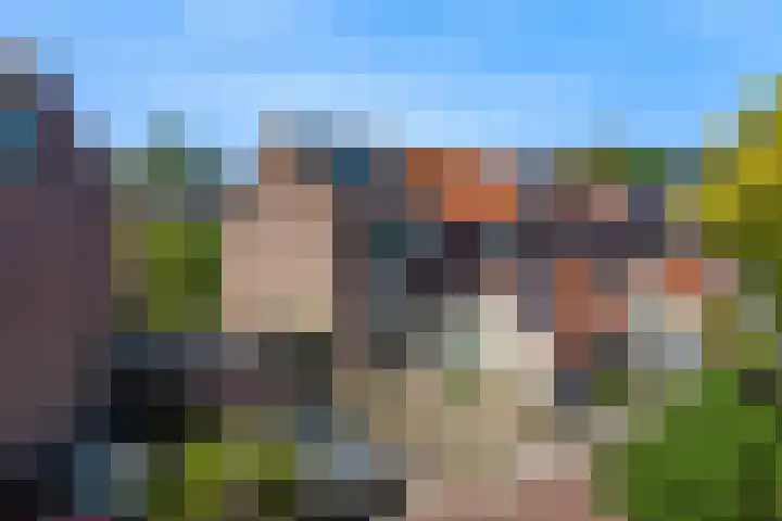Lantaarnopsteker 45 Amstelveen thumbnail 5