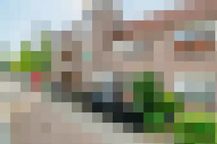 Lantaarnopsteker 7 Amstelveen thumbnail 34