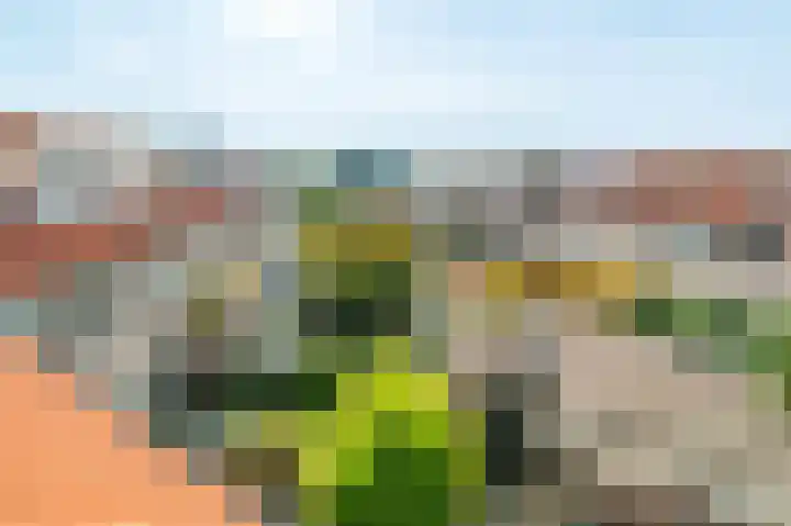 Lantaarnopsteker 7 Amstelveen thumbnail 40