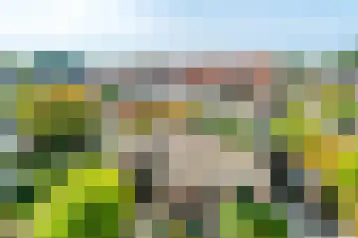 Lantaarnopsteker 7 Amstelveen thumbnail 41