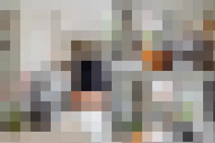 Lantaarnopsteker 7 Amstelveen thumbnail 8