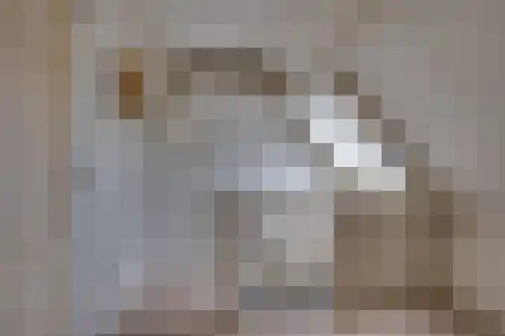 Lantaarnstraat 5 Werkendam thumbnail 9