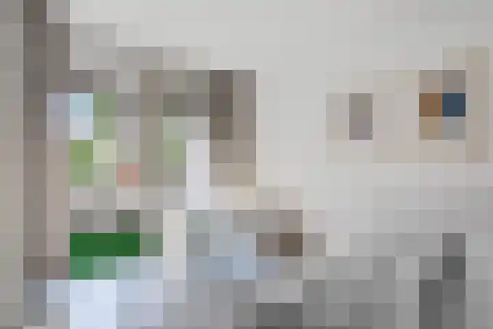 Lantaarnstraat 9 C Maastricht thumbnail 21