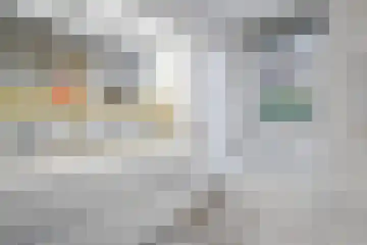 Lantaarnstraat 9 C Maastricht thumbnail 23