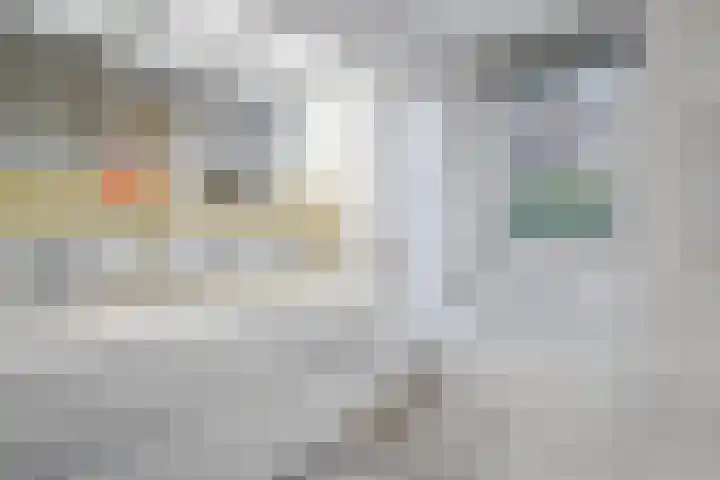 Lantaarnstraat 9 C Maastricht thumbnail 5