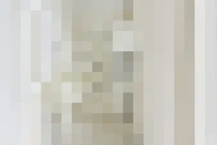 Lantentijmen 4 Laren thumbnail 26