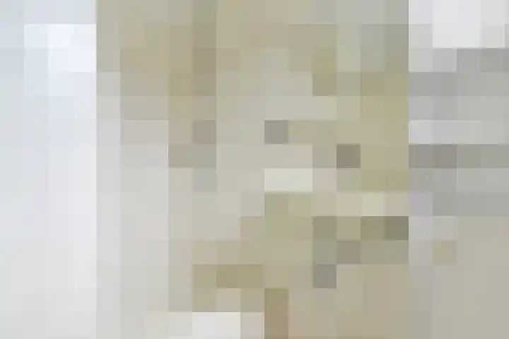Lantentijmen 4 Laren thumbnail 27