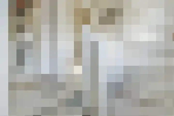 Lantentijmen 4 Laren thumbnail 29