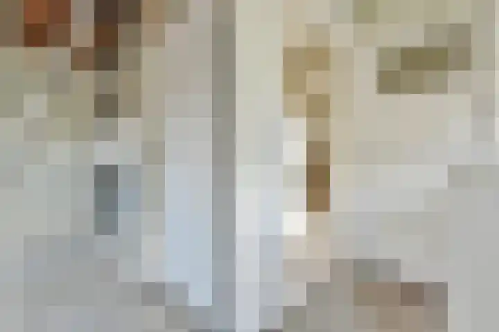 Lantentijmen 4 Laren thumbnail 32