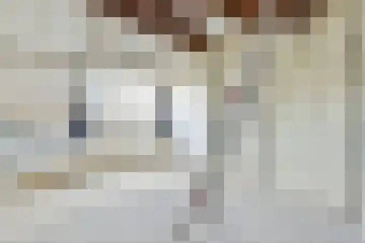 Lantentijmen 4 Laren thumbnail 33