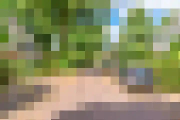 Lantentijmen 4 Laren thumbnail 4