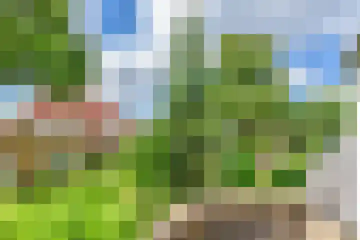 Lantentijmen 4 Laren thumbnail 40